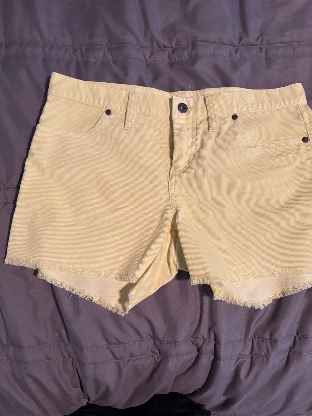 Carve Designs Yellow Jean Shorts
